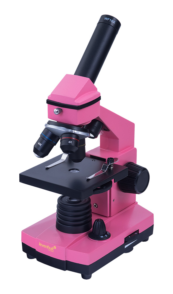 Микроскоп Levenhuk Rainbow 2L NG Rose\Роза