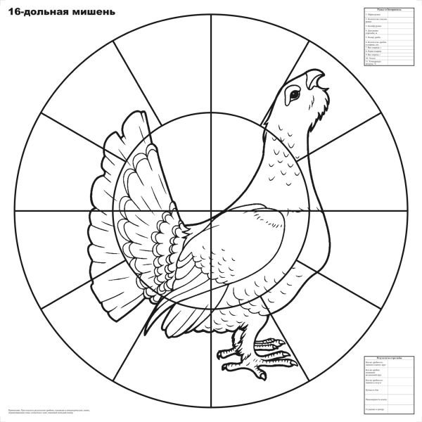 Мишень для пристрелки дробовых ружей 16-дольная "Глухарь", 800х800 мм, 80 г/м (100шт./уп.)
